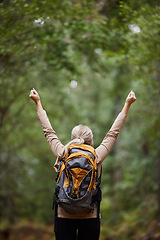 Image showing Back, woman hiker and and arms of freedom, success and hope of courage, power or mockup. Hiking, travel and celebration of motivation, inspiration and goals of wellness, energy or adventure in nature