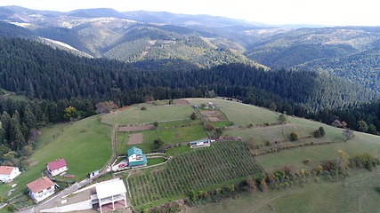 Image showing Aerial drone view of ATV quads on a dirt trail in forests. Off-road group team club enthusiasts having fun while driving countryside roads.