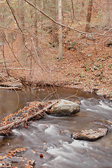 Image showing stream 556