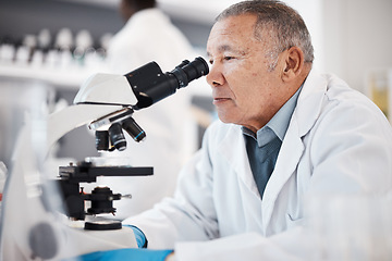 Image showing Science, laboratory and senior scientist with microscope for research, medical study and analytics. Healthcare, biotechnology and old man with sample for experiment, vaccine development and medicine