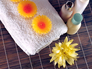 Image showing Spa Essentials