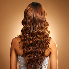 Image showing Back of hair, curls and woman for beauty, wellness and keratin treatment on brown background. Hairdresser mockup, salon studio and girl with curly hairstyle for growth, haircare texture or cosmetics