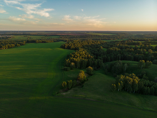 Image showing Top aerial view of green fields and meadows