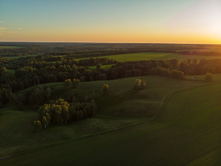 Image showing Top aerial view of green fields and meadows