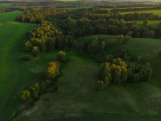 Image showing Top aerial view of green fields and meadows