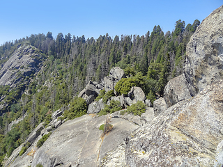 Image showing Yosemite National Park