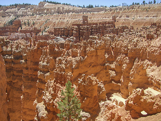 Image showing Bryce Canyon National Park