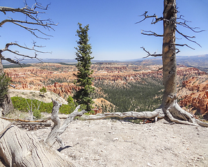 Image showing Bryce Canyon National Park