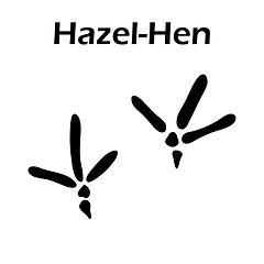 Image showing Hazel-Hen Footprint