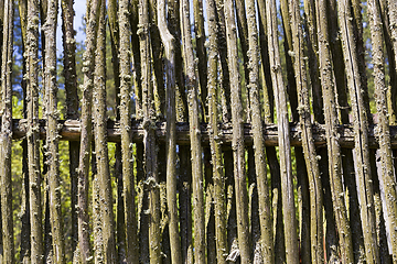 Image showing made of twigs fence