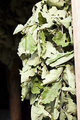 Image showing broom during drying