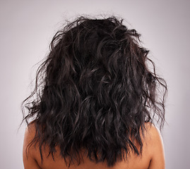 Image showing Beauty, crazy hair and closeup of a woman back with healthy and wellness of a hairstyle. Cosmetic, beautiful curls and messy haircut textures of female with salon treatment and white background