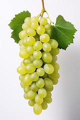 Image showing Grape with leaves on white