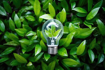 Image showing Light bulb and green plant