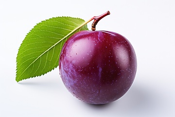 Image showing Purple plum on white