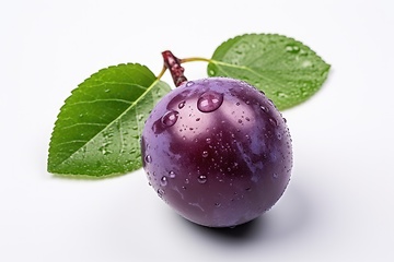 Image showing Purple plum on white