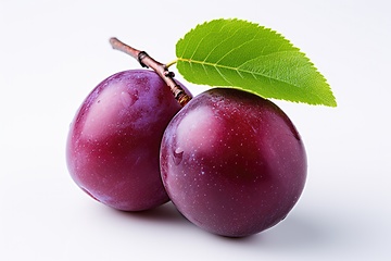 Image showing Purple plum on white