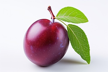 Image showing Purple plum on white