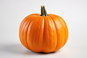 Image showing Single pumpkin on white