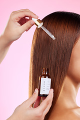 Image showing Closeup, woman and hair care with oil, pipette and luxury salon treatment against a studio background. Zoom, female and lady with scalp product, volume and wellness for shine, growth and grooming