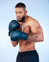 Image showing Boxer man, training and studio portrait for wellness, fight and focus for competition by blue background. Young boxing athlete, strong body or gloves for safety, fist and performance in sport workout