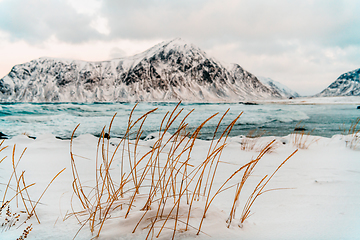 Image showing Norway coast in winter with snow bad cloudy weather