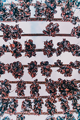 Image showing Air drying of salmon on a wooden structure in the Scandinavian winter. Traditional way of preparing and drying fish in Scandinavian countries