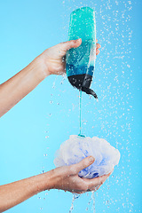 Image showing Skincare, product and hands with loofah and shower gel of person washing isolated in a studio blue background. Self care, beauty and person or model using soap and sponge for morning routine