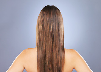 Image showing Woman, beauty and hair in studio for texture, growth and healthy shine on blue background. Aesthetic female model back for haircare, self care and cosmetic results for salon or hairdresser treatment