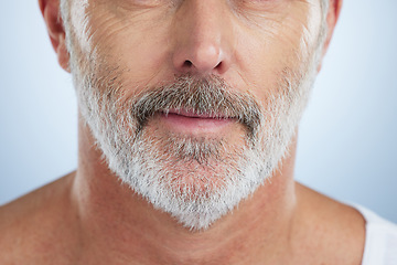 Image showing Beauty, beard and mouth of man in studio for grooming, hygiene and maintenance. Haircare, style and barber with senior male isolated on gray background for skincare, growth and facial cosmetics