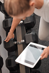 Image showing Fitness, woman and tablet mockup for weightlifting tutorial, exercise or schedule workout and planning at the gym. Hands of active female with touchscreen display for online training with dumbbells