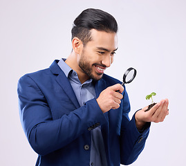 Image showing Man, business growth and plant in studio with magnifying glass for inspection, analysis or happy on white background. Businessman, plants and investment, sustainability or startup company performance