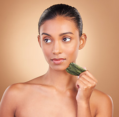 Image showing Skincare, gua sha and face of Indian woman for beauty, facial treatment and wellness with spa tools. Luxury salon, dermatology and serious girl on brown background with cosmetics, massage and stone