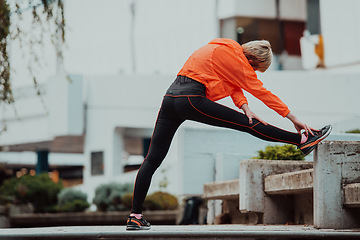 Image showing Fit attractive woman in sportswear stretching one leg before jogging on the footpath outdoor in summer among greenery. Workout, sport, activity, fitness, vacation and training concept.