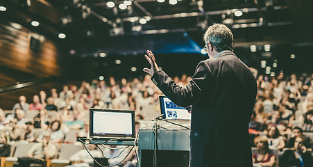 Image showing Public speaker giving talk at Business Event.