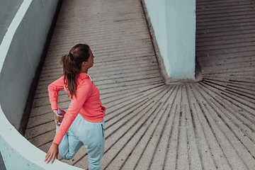 Image showing Fit attractive woman in sportswear stretching before jogging. Workout, sport, activity, fitness, vacation and training concept.