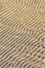 Image showing Sand ripples in shallow water