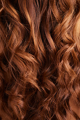 Image showing Hair, balayage and beauty with closeup, haircare and keratin treatment with shine and curly hairstyle. Fashion, person with highlights and elegant style, wavy and growth with volume and cosmetic care