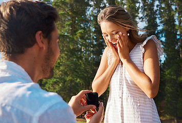 Image showing Man, woman and engagement proposal by woods on vacation with surprise, wow or happiness in sunshine. Couple, marriage offer and ring in nature for romance, love and happy on summer holiday by forrest