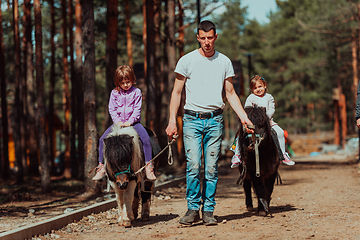 Image showing Two little girls having fun in the park while riding small horses