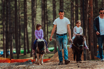 Image showing Two little girls having fun in the park while riding small horses