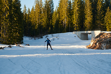 Image showing Nordic skiing or Cross-country skiing classic technique practiced by man in a beautiful panoramic trail at morning.Selective focus.