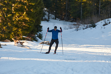 Image showing Nordic skiing or Cross-country skiing classic technique practiced by man in a beautiful panoramic trail at morning.Selective focus.