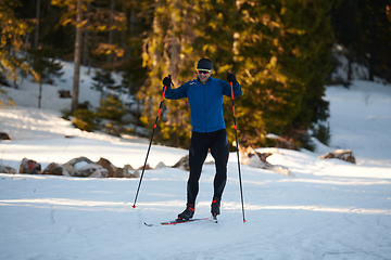 Image showing Nordic skiing or Cross-country skiing classic technique practiced by man in a beautiful panoramic trail at morning.Selective focus.