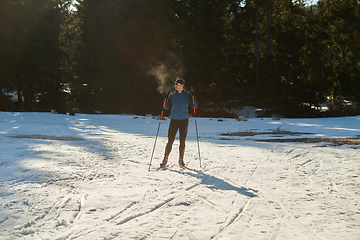 Image showing Nordic skiing or Cross-country skiing classic technique practiced by man in a beautiful panoramic trail at morning.Selective focus.