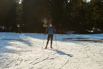 Image showing Nordic skiing or Cross-country skiing classic technique practiced by man in a beautiful panoramic trail at morning.Selective focus.