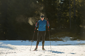 Image showing Nordic skiing or Cross-country skiing classic technique practiced by man in a beautiful panoramic trail at morning.Selective focus.