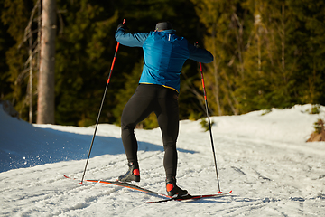 Image showing Nordic skiing or Cross-country skiing classic technique practiced by man in a beautiful panoramic trail at morning.Selective focus.