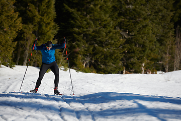 Image showing Nordic skiing or Cross-country skiing classic technique practiced by man in a beautiful panoramic trail at morning.Selective focus.