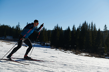 Image showing Nordic skiing or Cross-country skiing classic technique practiced by man in a beautiful panoramic trail at morning.Selective focus.